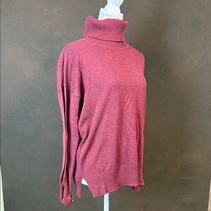 Max Studio Women's Turtleneck Sweater